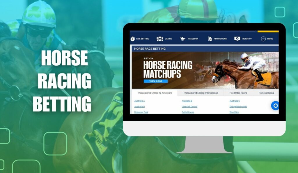 Horse Racing Betting websites overview in India